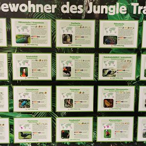 Jungle Trail, updated sign.