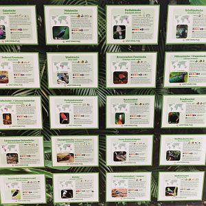 Paradieshalle, updated sign.