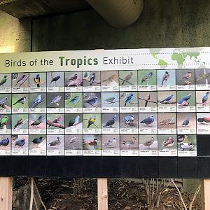 Updated Tropics Species Identification Signs