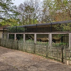Asian Garden - Fishing cat