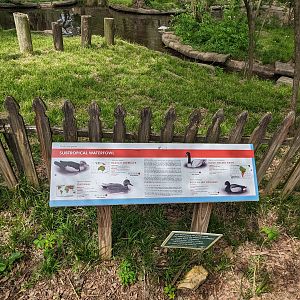 Lower Pond - water bird sign