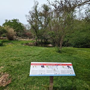 Flamingo pond sign