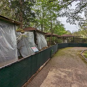 Bird Walk - exhibit row