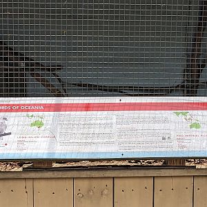 Bird Walk - Birds of Oceania aviary