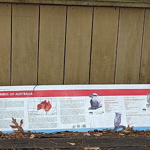 Bird Walk - Birds of Australia