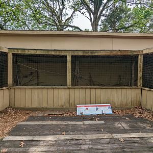 Bird Walk - Birds of Australia