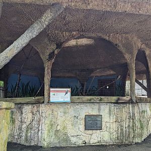 Bird Walk - Kookaburra