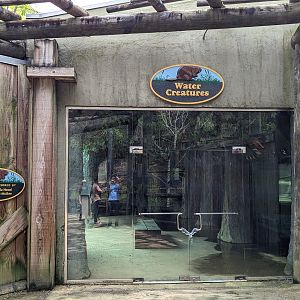 Wilderness Mississippi - Water creatures