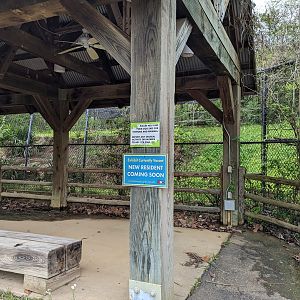 Wilderness Mississippi - Empty exhibit