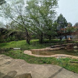 Asian Garden - Sumatran Tiger exhibit view