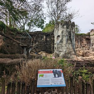 Asian Garden - Asiatic black bear exhibit view