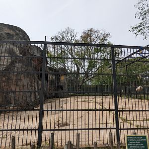 Asian Garden - empty exhibit (former reticulated giraffe)