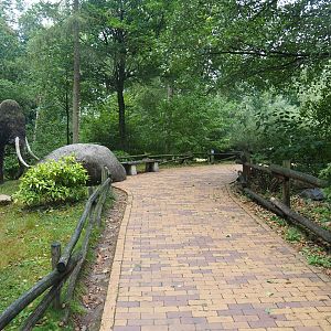 Walkway in the Taiga area, near the reindeer exhibit, 2022-08-20