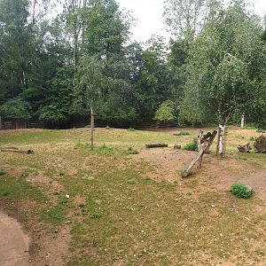 Pampas-side part of the Eurasian forest reindeer exhibit (Former musk ox exhibit), 2022-08-20