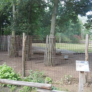 Pampas-side part of the Eurasian forest reindeer exhibit (Former musk ox exhibit), seen from the exit of the zoo, 2022-08-20