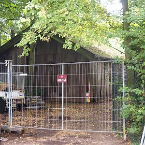Eurasian forest reindeer barn, 2022-08-20