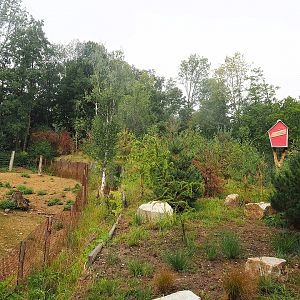 Part of Eurasian forest reindeer exhibit and elevated planted area between reindeer exhibit and Pampas exhibit, 2022-08-20