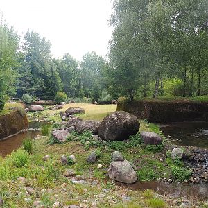 Wolverine-side part of the Eurasian forest reindeer exhibit (Former musk ox exhibit), 2022-08-20