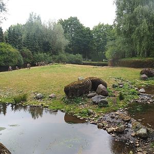 Wolverine-side part of the Eurasian forest reindeer exhibit (Former musk ox exhibit), 2022-08-20