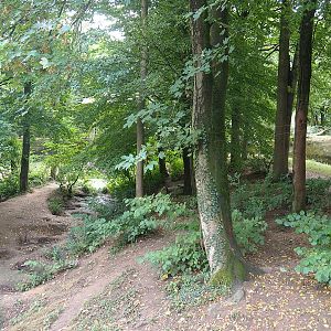 European wolverine exhibit, 2022-08-20