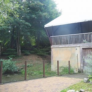 European wolverine exhibit, 2022-08-20