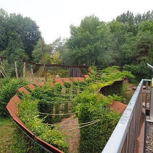 Walkway between Barbary macaque and Eurasian lynx exhibits, 2022-08-20