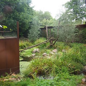 Part of the larger Eurasian lynx exhibit, 2022-08-20