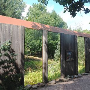 Eurasian lynx viewing windows, 2022-08-20