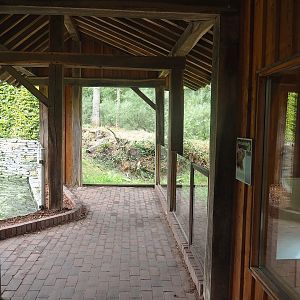 Eurasian beaver and Hermann's tortoise viewing area, 2022-08-20