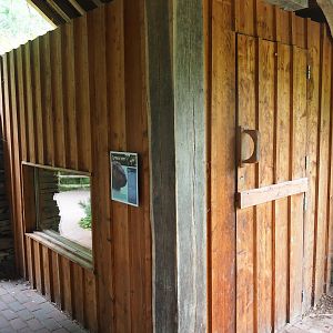 Eurasian beaver den, 2022-08-20