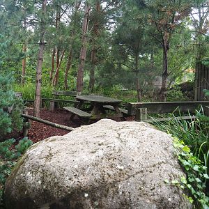 Picnic area, 2022-08-20