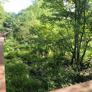 European mink exhibit, 2022-08-20