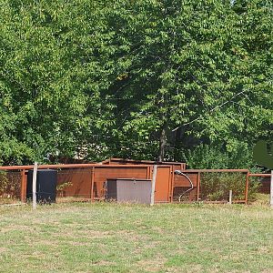 Backside of the European mink exhibits, 2022-08-20