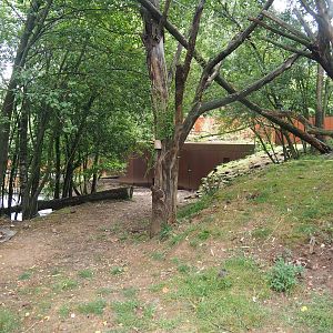 Swan goose, Reeves's muntjac and Nepalese red panda exhibit, 2022-08-20