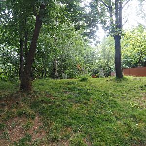 Swan goose, Reeves's muntjac and Nepalese red panda exhibit, 2022-08-20