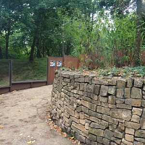 Swan goose, Reeves's muntjac and Nepalese red panda viewing area, 2022-08-20
