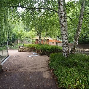 Eurasian otter viewing area, 2022-08-20