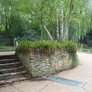 Eurasian otter viewing area, 2022-08-20