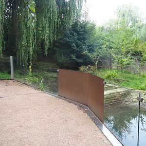 Eurasian otter exhibit, 2022-08-20