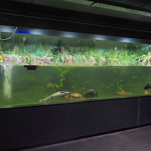 Limburg creek tank, 2022-08-20