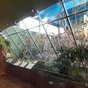 Bird area next to monkey indoor viewing