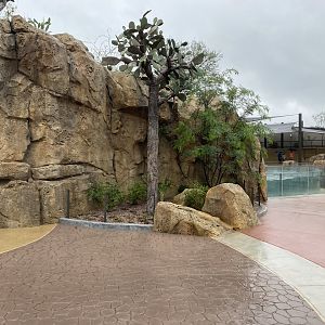 Galápagos Islands- Entrance