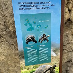 Galápagos Islands- Tortoise Shell Sign