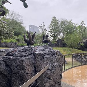 Galápagos Islands- Blue Footed Booby Sculptures