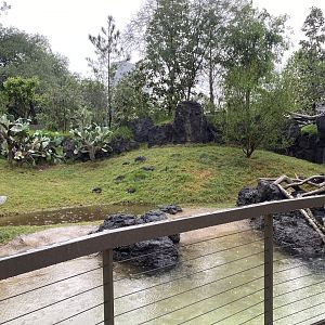 Galápagos Islands- Galapagos Tortoise Enclosure