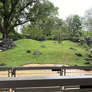 Galápagos Islands- Galapagos Tortoise Enclosure