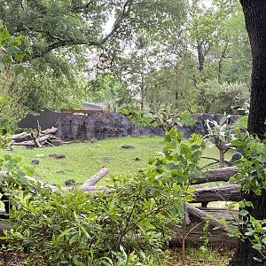 Galápagos Islands- Galapagos Tortoise Enclosure