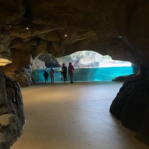 Galápagos Islands- Submerged Worlds