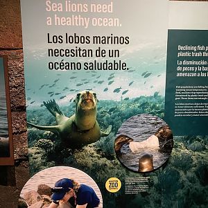 Galápagos Islands- Clean Ocean Sign