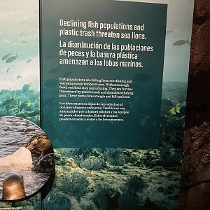 Galápagos Islands- Sea Lion Threats Sign